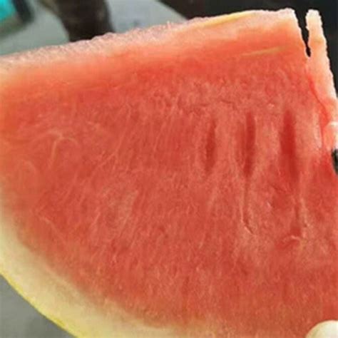 Hybrid F1 Yellow Skin Red Flesh Watermelon Seeds Heyou Seeds