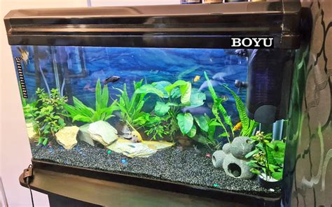 Boyu Ea80e Tropical Aquarium Fish Tank