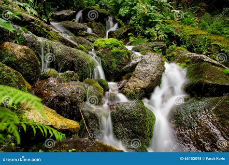 Mountain Stream Spring Stock Photo Image Of Bosnia Flowing 63153098