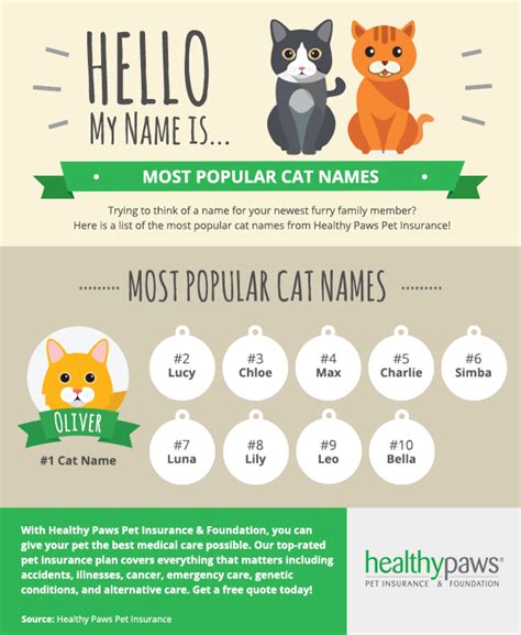 Popular Cute Cat Names Healthy Paws Pet Insurance