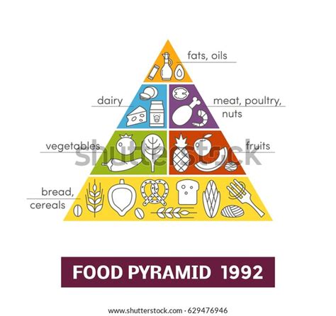 Original Food Pyramid 1992 Concept Healthy Stock Vector Royalty Free