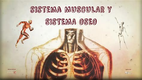 Sistema Oseo Muscular Y Nervioso By Jazm N Riveros