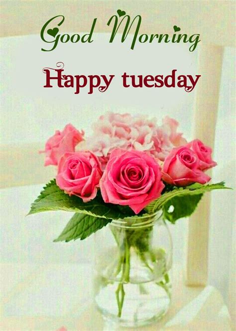 Good Morning Tuesday Quotes Wishes Images Gm Messages Good Morning