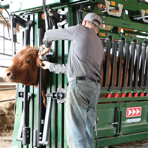 The General Cattle Working Chute Heavy Duty Hydraulic Arrowquip