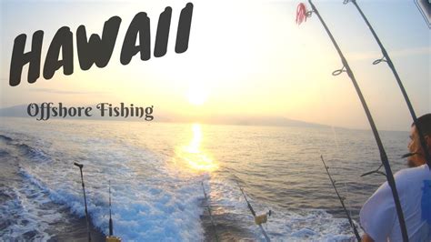Offshore Fishing In Hawaii See What We Catch Youtube