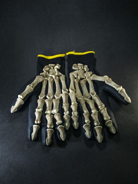 Bone Gloves Skeleton Gloves Skeleton Arms Carnival Gloves Etsy