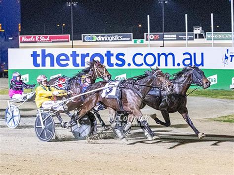 victorian country trotting cups to receive stakes boost harness racing victoria