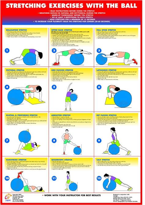 Exercise Gym Ball Stretching Exercise Poster Swiss Ball Exercises