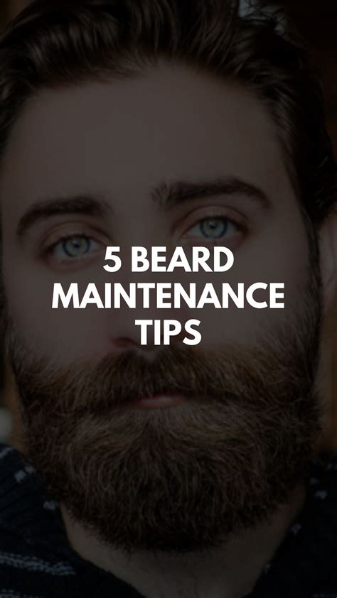 5 Beard Maintenance Tips For A Healthy Stylish Beard Beard