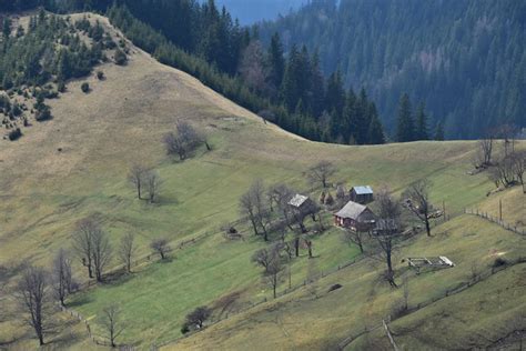 Hutsuls Shepherds Of The Eastern Carpathians World Of The