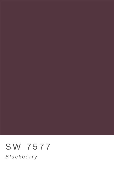 Blackberry Paint Colors For Home House Color Palettes House Color
