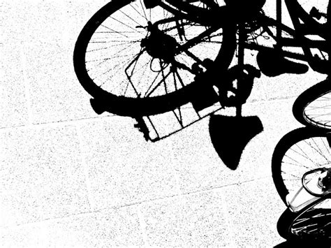 자전거 그림자 거리 Pixabay의 무료 사진 Pixabay