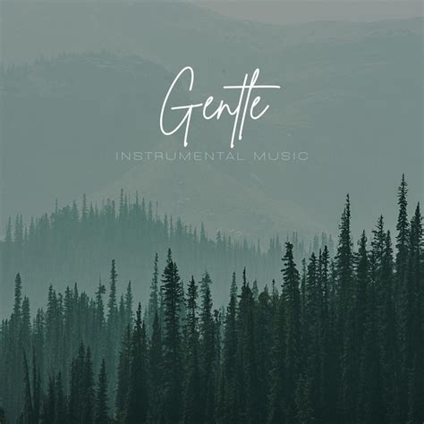 Gentle Instrumental Music Compilation By Various Artists Spotify