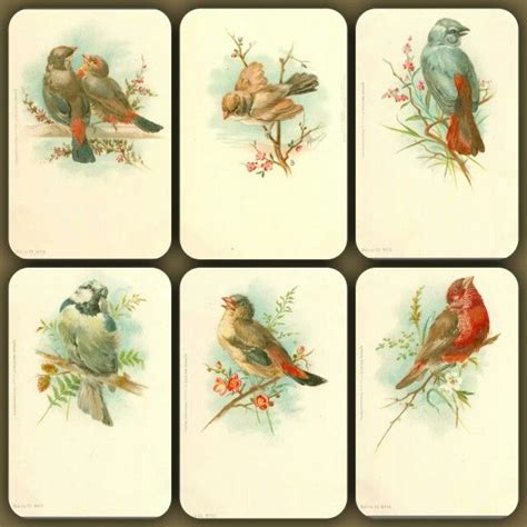 Victorian Birds Victorian Birds Prints Painting Art Art Background