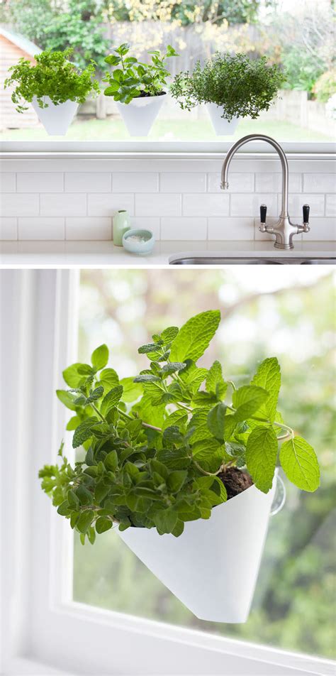 Indoor Garden Idea Hang Your Plants From The Ceiling And Walls