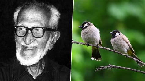 Festivals And Events News National Bird Day 2020 Remembering Salim Ali