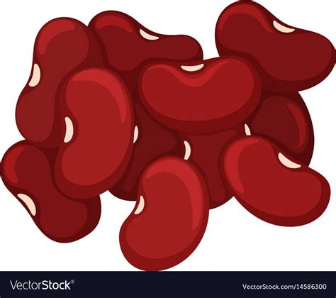 Pile Of Red Beans Royalty Free Vector Image Vectorstock Red Beans
