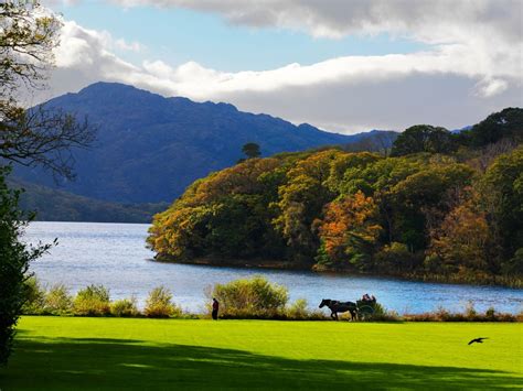 Killarney Lake 1024×768 Travelling Languages