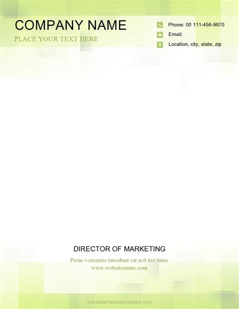 30 Professional Letterhead Formats & Examples - TemplateArchive