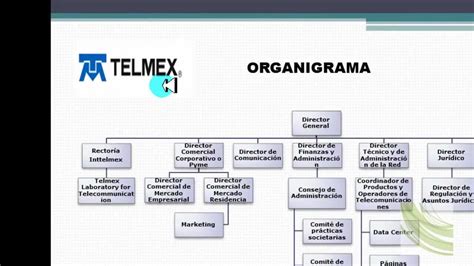 Tipos De Organigrama Vertical Organigrama Organigrama De Una Empresa