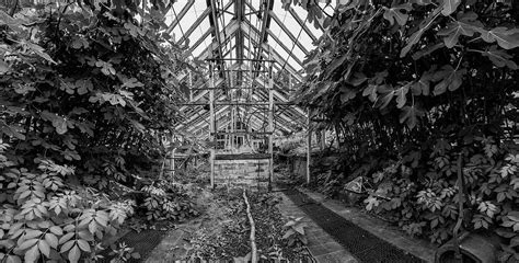 Stunning Vintage Victorian Era Greenhouse Left Ro Ruin In Old En