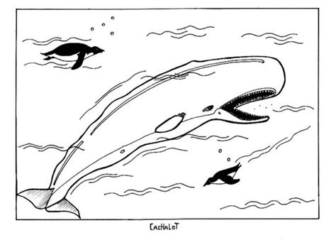 Carefully curated designs will provide hours of fun, stress relief, creativity, and relaxation. Free Printable Whale Coloring Pages For Kids