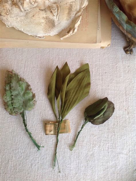 Antique Millinery Supplies Green Leaves Bay And Floral Leaves Old New