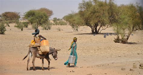 Le Sahel Au Coeur Des Enjeux Du Changemet Climatique Solidarites