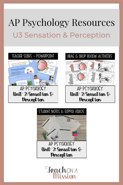 Ap Psychology Unit 3 Sensation And Perception