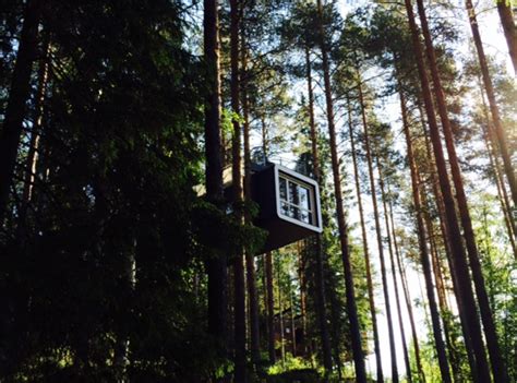 Maybe you would like to learn more about one of these? Treehotel | A Hotel Life