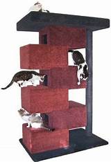 Images of Cool Cat Climbing Towers