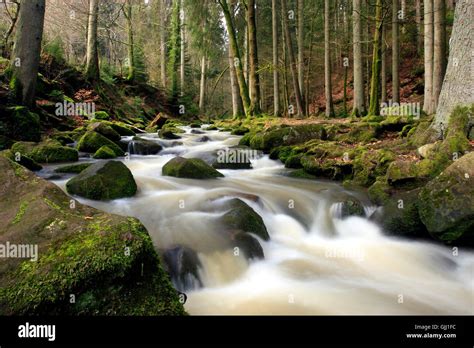Black Forest River Stock Photo Alamy