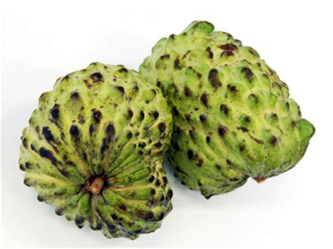 The three words guanabana, graviola and soursop can be used interchangeably. Graviola: Benefits Of Graviola Fruit