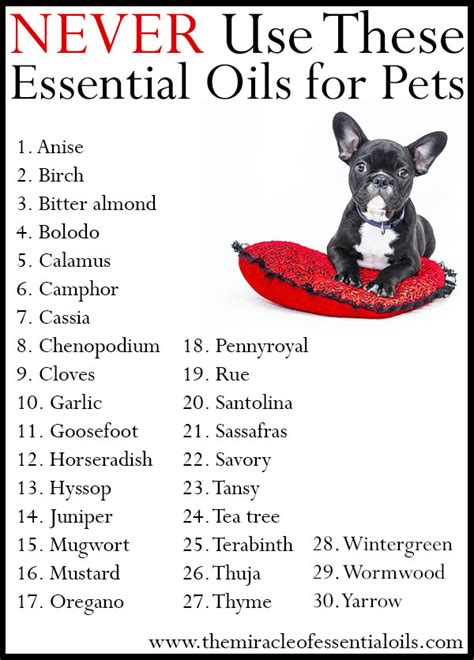 Never Use These Essential Oils For Pets The Miracle Of Essential Oils