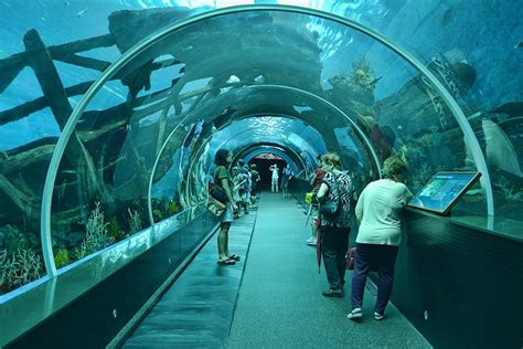 Resorts World Sentosa Theme Park In Singapore Thousand