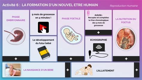 4ème La Formation Dun Nouvel être Humain