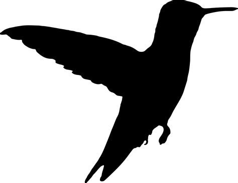 Clipart Hummingbird Silhouette