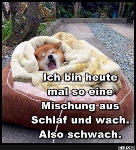 Wie orgelton umbraust euch heut der. Ich bin heute mal so eine Mischung aus Schlaf und wach ...