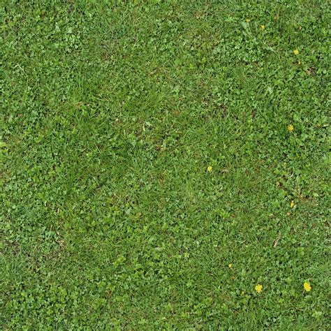 Seamless Green Grass Texture 01 By Goodtextures On Deviantart