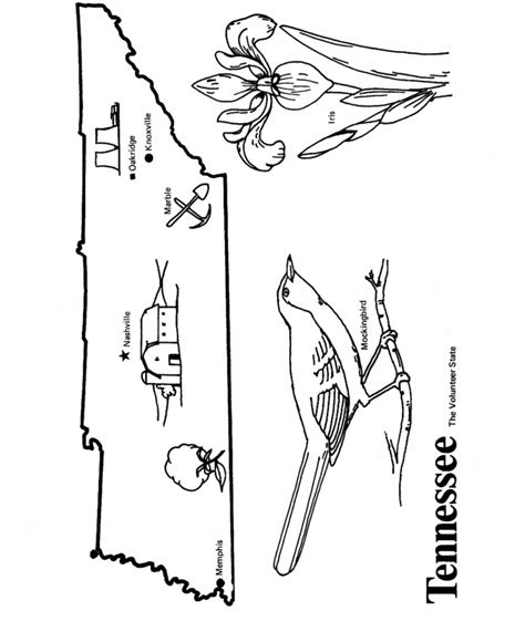 Tn Coloring Pages