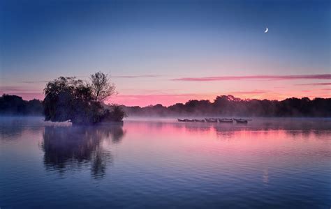 Photography Nature Landscape Morning Mist Daylight Lake