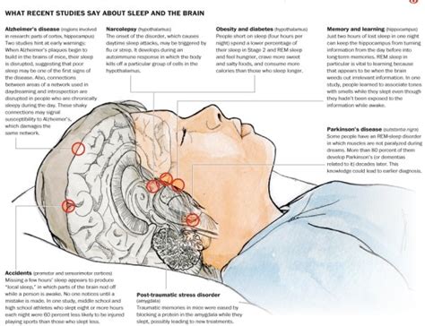 Study A Good Nights Sleep Could Lead To A Good Days Speech