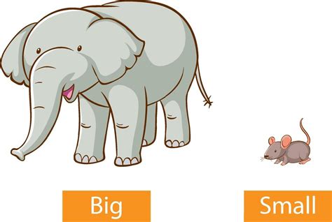 Opposite Adjectives Words With Big And Small 1928525 Vector Art At Vecteezy