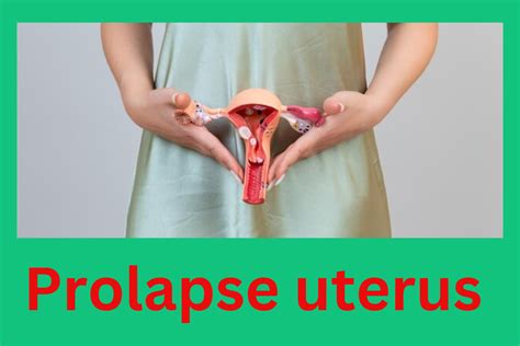 understanding prolapsed uterus a comprehensive guide