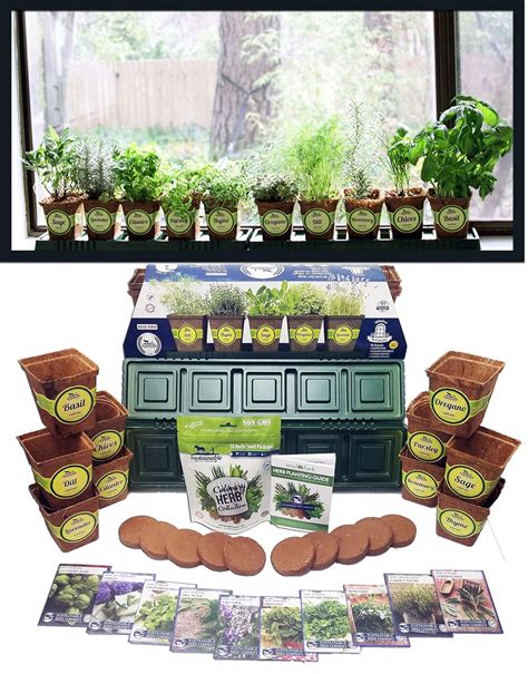 10 Best Windowsill Herb Gardens Best Choice Reviews