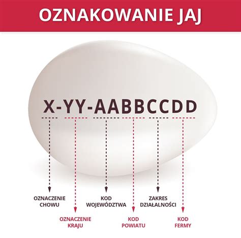 Oznaczenia na jajkach jak je czytać Dzidziusiowo pl Dzidziusiowo pl