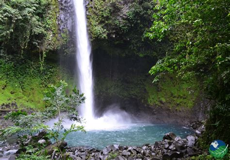 La Fortuna Waterfall Is A Beautiful Sight To Behold Near Arenal