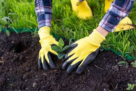 17 Of The Best Gardening Gloves In 2023 Gardeners Path