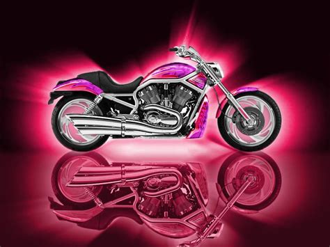 11 Best Images About Pink Harley Davidson On Pinterest Harley