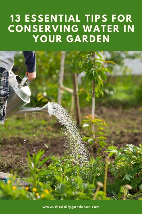 13 Essential Tips For Conserving Water In Your Garden
